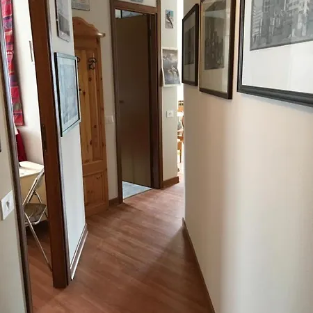 Giomein , In Out ,cir 0281 브루일서비니아